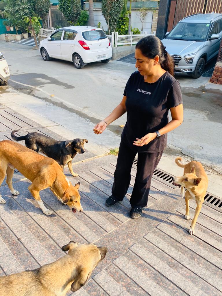 Volunteer - Animal Welfare Charitable Trust