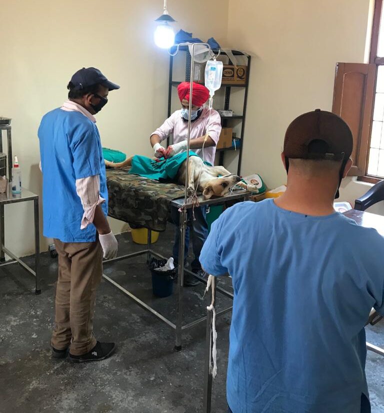 Animal Welfare Charitable Trust Organization